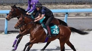 ヒストリックスターの2021(コルレオニス)など、先週のゲート試験/栗東トレセンニュース