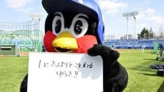 つば九郎の人生相談「会社の飲み会にあまり参加したくない。どうすれば角を立てずに断れる？」