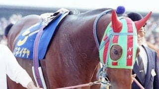 35歳ナイスネイチャ死す 存命のJRA重賞勝ち馬では最高齢