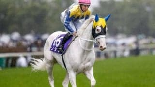 【安田記念予想オッズ】ソダシが予想1番人気