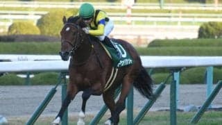 【鳴尾記念予想オッズ】ソーヴァリアントが予想1番人気