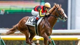 今週末から新馬戦がスタート 一番星を飾った馬の“その後”は？