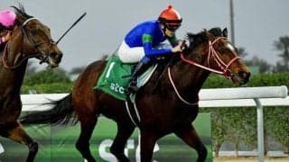 10頭中7頭が重賞ウイナー 上半期のダート短距離王決定戦/さきたま杯