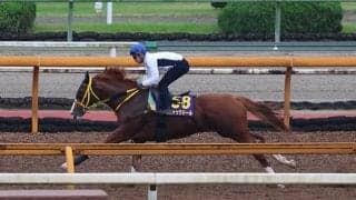 ジャックドール、安田記念最終追い切り速報/栗東トレセンニュース