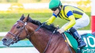 【鳴尾記念】ソーヴァリアント 重賞2勝の得意舞台で巻き返しへ