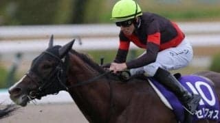 追分ファームが安田記念に3頭出し セリフォスを筆頭に強力布陣で戴冠目指す