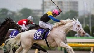 ソダシが史上8頭目の偉業に挑戦 安田記念を勝てばゴルシ・ウオッカらに並ぶ記録に