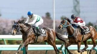 【安田記念予想】豪華メンバーで行われるチャンピオンマイラー決定戦 AIは人気の盲点となりそうな一頭に注目