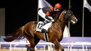 ダービー制覇のD.レーン騎手 安田記念で2週連続GI勝ちなるか