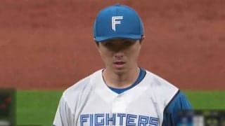 日本ハムがヤクルトに2連勝　上沢直之が8回2失点の力投で5勝目、加藤豪将は2打席連発
