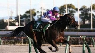 安田記念に強い「ストームキャットの血」を持つ中でベスト条件の馬は？ モーリス産駒もマイルＧⅠ初勝利を狙う