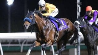 【北海道SC注目馬】JBCスプリント覇者ダンシングプリンスが連覇狙う