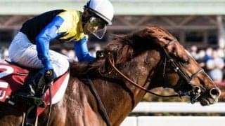 鳴尾記念歴代最多6勝の池江泰寿厩舎 ボッケリーニで連覇目指す