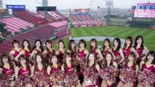 東北楽天ゴールデンイーグルスを応援する魅力的なチアリーダーたち　全メンバー21人のチャームポイントや意気込みに迫った