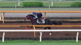 ヤマニンサルバム、エプソムC1週前追い切り速報/栗東トレセンニュース