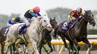 【安田記念出走馬・騎手確定】ソダシ＆川田将雅騎手、ジャックドール＆武豊騎手など18頭