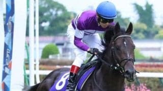 イルーシヴパンサーが挑む安田記念35年の壁 昨年8着の雪辱なるか