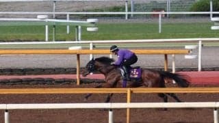 ジュンライトボルト、帝王賞追い切り速報/栗東トレセンニュース