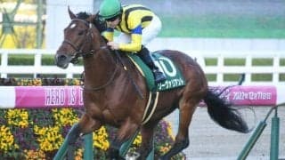 【鳴尾記念出走馬・騎手確定】ソーヴァリアント＆C.ルメール騎手、フェーングロッテン＆松若風馬騎手など15頭