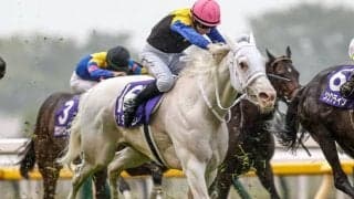 【安田記念・調教後馬体重】ソダシは488kg、ジャックドールは520kg