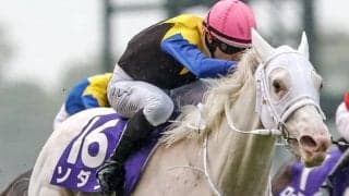  “白毛マイスター”川田将雅騎手がソダシと初コンビ 騎手別最多4頭の白毛馬V