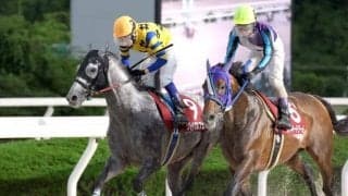 【園田・六甲盃結果】グリードパルフェがラッキードリームとの一騎打ちを制す