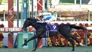 宝塚記念ファン投票、第2回中間発表もイクイノックスが1位