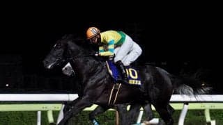 サクセスエナジーが競走馬登録抹消