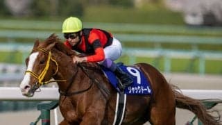 【武豊日記】新たな一面を見せてくれるはずとワクワクしています