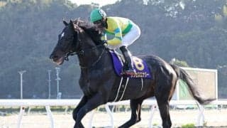 ダート重賞6勝サクセスエナジーが引退 宮崎県で種牡馬に