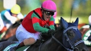 ステイゴールド産駒が相性抜群の鳴尾記念 伏兵マイネルファンロンの激走に要注意