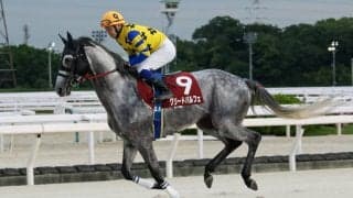 【園田・六甲盃】グリードパルフェがラッキードリームを競り落とす…赤岡「先に動いて自分のペースを作れた」