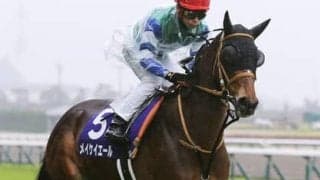 安田記念は高配当必至か 「穴党記者」は実力馬ながら低評価になりそうな２頭の激走に期待