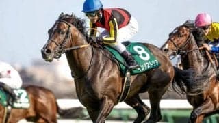 インダストリアやジャスティンカフェなど エプソムC出走想定馬18頭