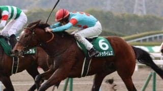 東京も阪神も道悪必至 鳴尾記念ではパワー型ヒンドゥタイムズの出番だ