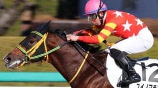 【土曜東京12R予想】今年の複勝率70％ 好相性のシニスターミニスター産駒に期待