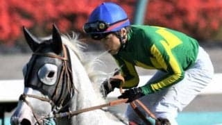 【土曜東京7R予想】2年2カ月ぶりでも期待大 1勝クラスならあっさりまで