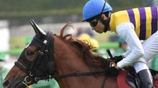 【稲城特別予想】青葉賞9着からの巻き返し期待