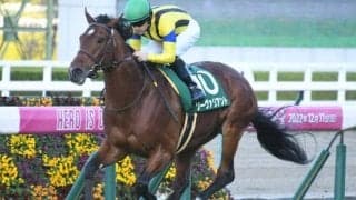 【鳴尾記念予想】久々の阪神開催 2度の坂越えが勝負のカギに