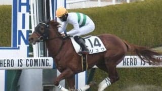 【土曜阪神8R予想】前々走が“今年2位”の好時計 昇級2戦目で見直し