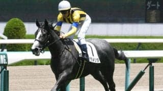 【阪神5R新馬戦結果】新種牡馬ブリックスアンドモルタル産駒のテラメリタが逃げ切る