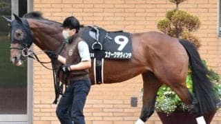 【松風月S予想】阪神ダ1200mは得意舞台 上位食い込みに期待