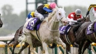 馬場傾向から日曜に狙いたい3頭 安田記念は進路取り自在な先行馬を狙う