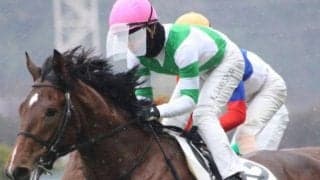 【麦秋S予想】血統面も後押し ダートで軌道に乗ったカズプレストが決める