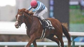 【岸和田S予想】ドゥラメンテ産駒は阪神芝2000mで複勝率53％！