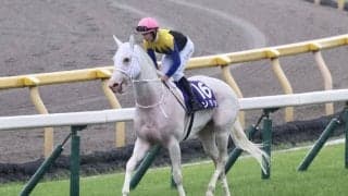 【安田記念】ソダシは3枠5番へ、セリフォス2枠4番へ