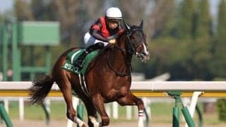 【安田記念予想】スピードや底力など“総合力”が試される上半期のマイル王決定戦