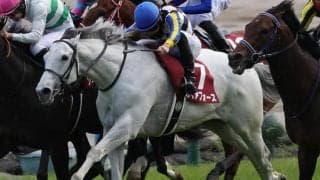 【安田記念予想】東京はマイルこそキタサンブラック産駒 2度目のマイルで一気にGI制覇へ