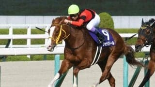 【安田記念予想】好調枠＆不調枠の特徴は明快？ 狙うべきデータから浮上する馬とは？