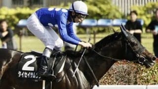 【アハルテケS】メイショウサムソン産駒 タイセイサムソンがオープン初勝利